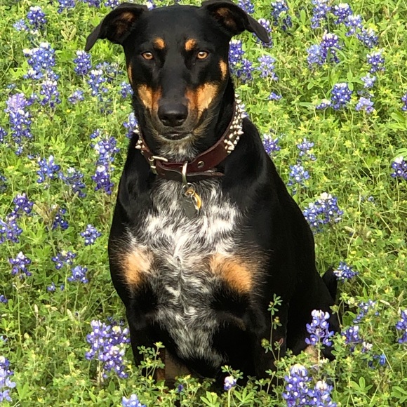 Meet your Posher, Tina - Picture 5 of 16